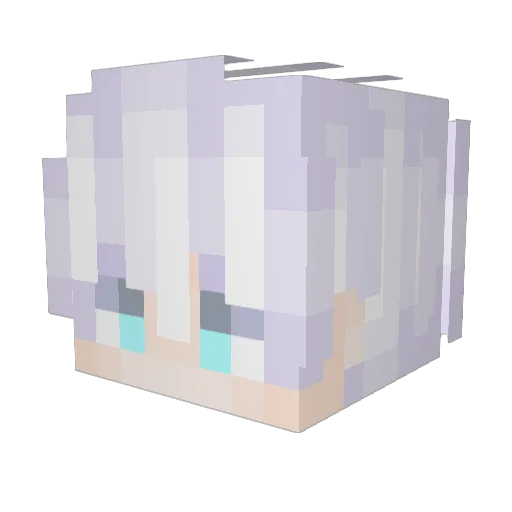 weluvcamden Minecraft avatar head, 3D render