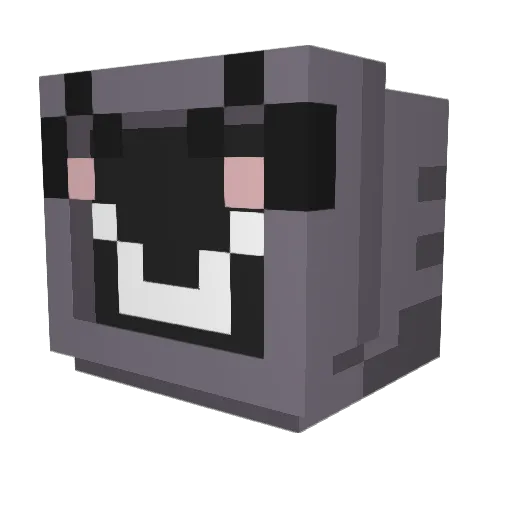 wemmyy Minecraft avatar head, 3D render