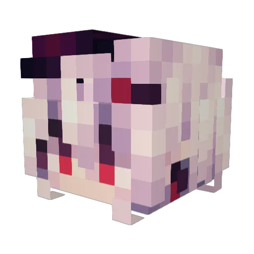 wen_xiang520 Minecraft avatar head, 3D render