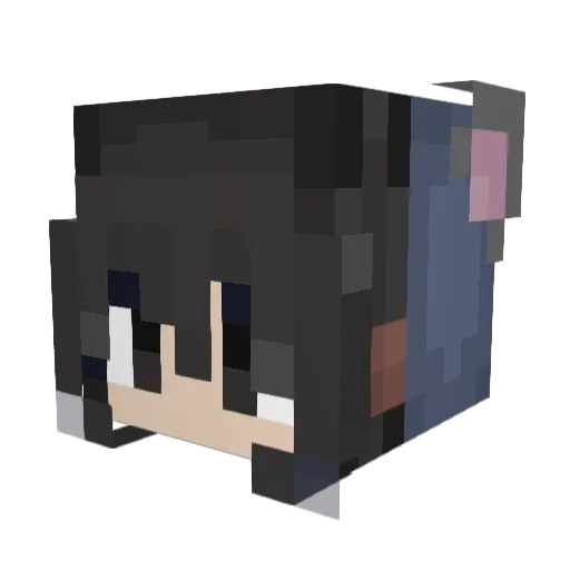 wenddox Minecraft avatar head, 3D render