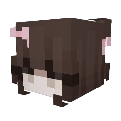 wendy_xim Minecraft avatar head, 3D render