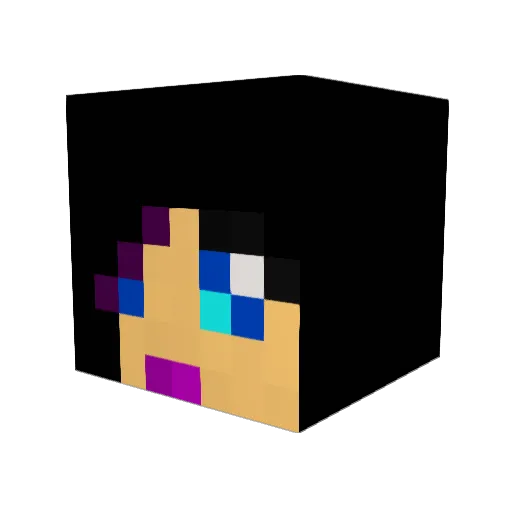 wenlir Minecraft avatar head, 3D render
