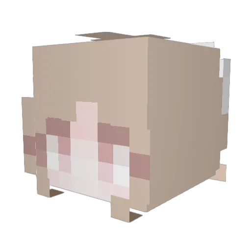 wennanaaa Minecraft avatar head, 3D render