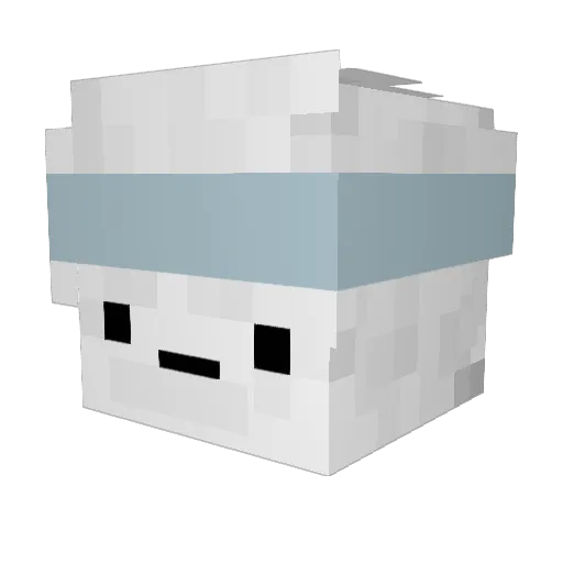 wennnnnnny Minecraft avatar head, 3D render