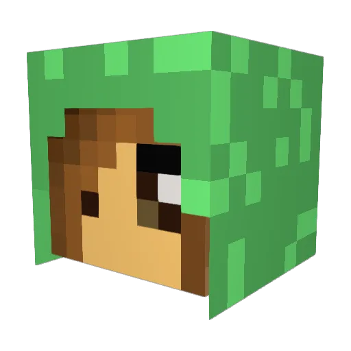 wenny082 Minecraft avatar head, 3D render