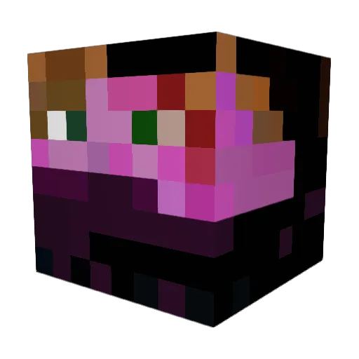 wense123456 Minecraft avatar head, 3D render