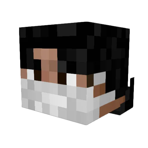 wentfyl Minecraft avatar head, 3D render