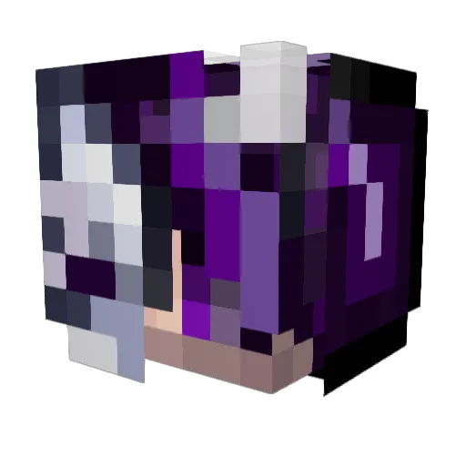 Minecraft-Avatar von wenusn: Kopf als 3D-Render