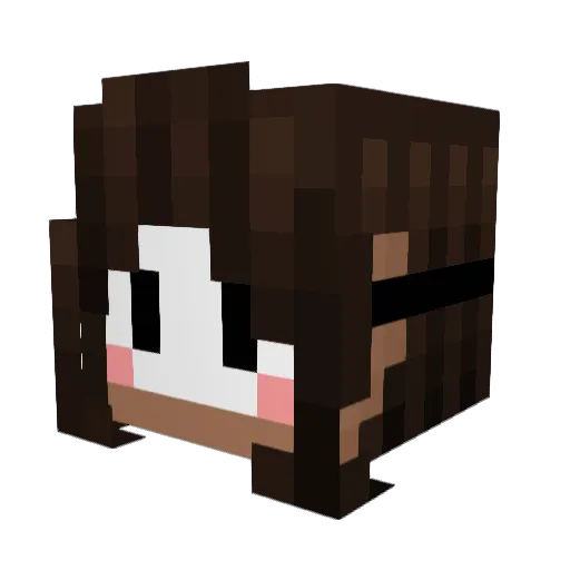 wenysrem Minecraft avatar head, 3D render