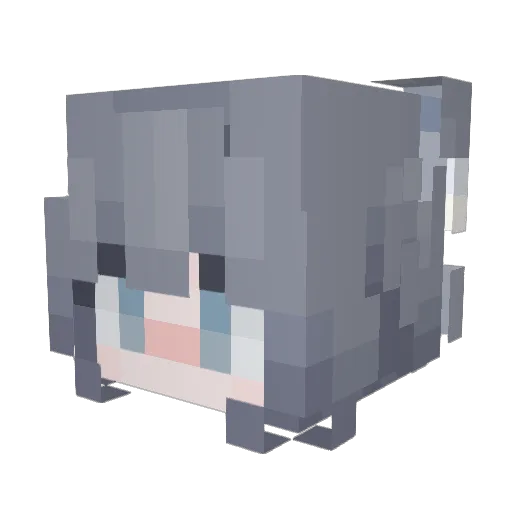 wenziLLLLL Minecraft avatar head, 3D render