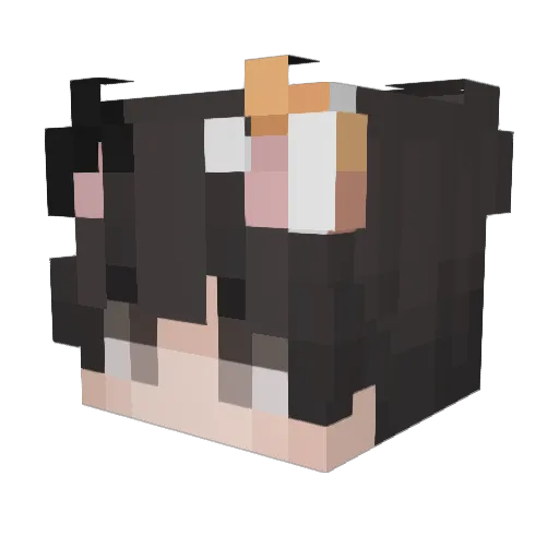 weqjipol Minecraft avatar head, 3D render