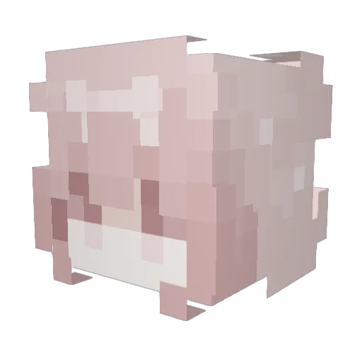 weqweq2 Minecraft avatar head, 3D render