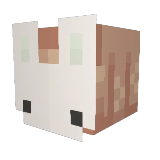 weqweqeq Minecraft avatar head, 3D render