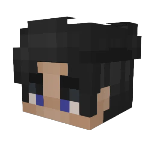 wer209487 Minecraft avatar head, 3D render