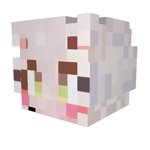 wer55498 Minecraft avatar head, 3D render