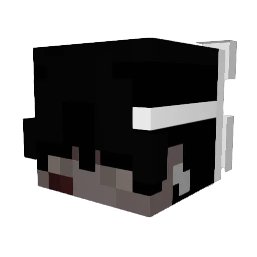 wer9856 Minecraft avatar head, 3D render