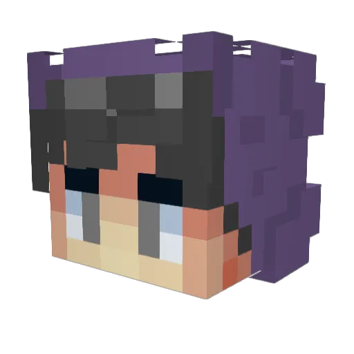 wer Minecraft avatar head, 3D render
