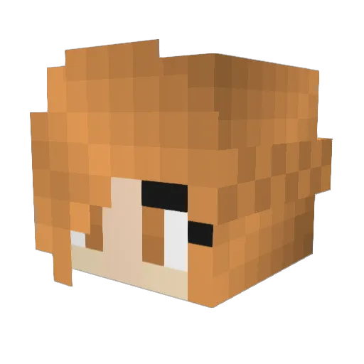 werD5109 Minecraft avatar head, 3D render