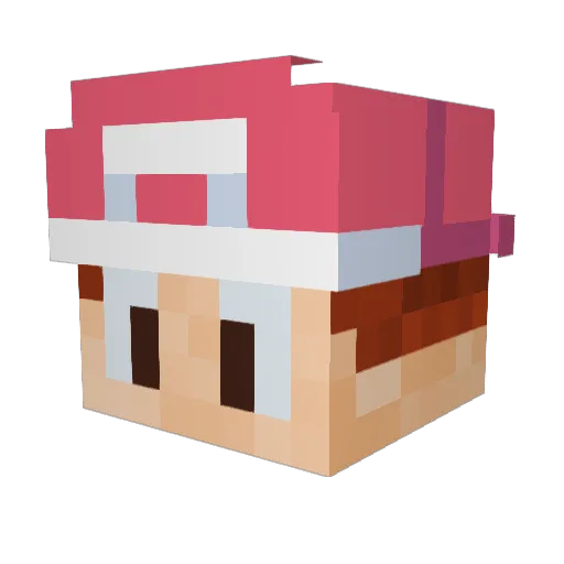 werbefreunde Minecraft avatar head, 3D render