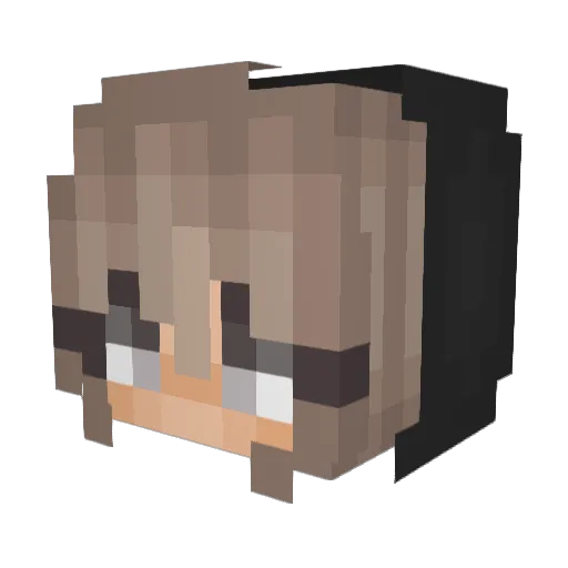 wercelka Minecraft avatar head, 3D render