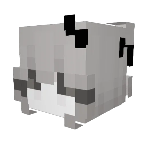werciaxpp Minecraft avatar head, 3D render