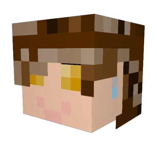 werckingball Minecraft avatar head, 3D render