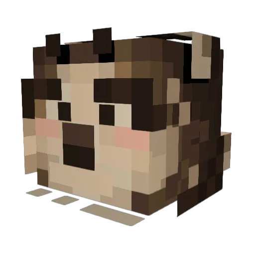 werdofesh Minecraft avatar head, 3D render