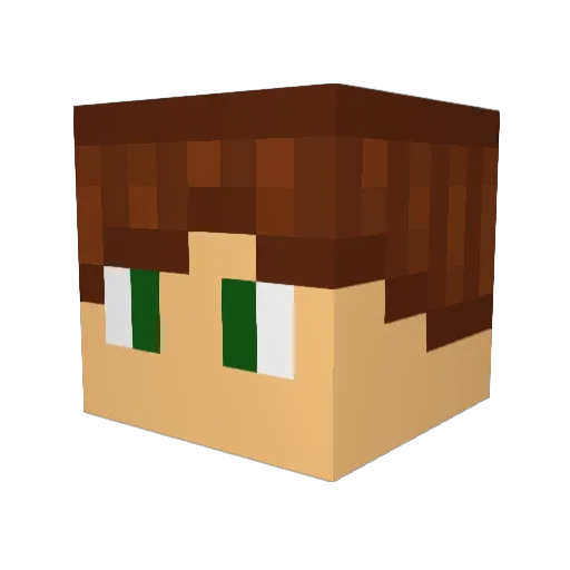 werdup15 Minecraft avatar head, 3D render
