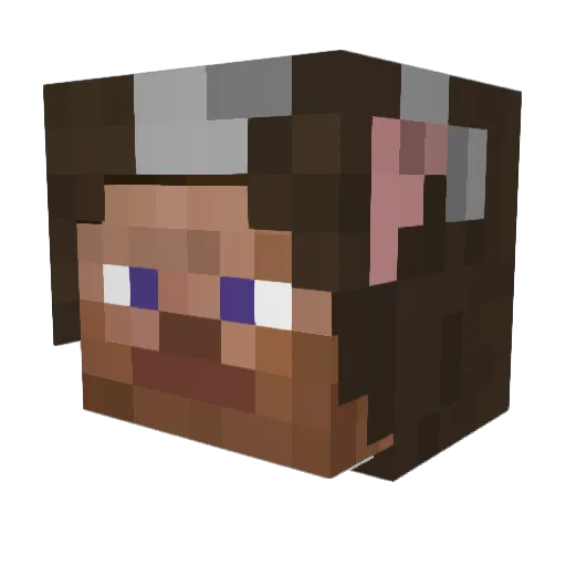 wereallinlove Minecraft avatar head, 3D render