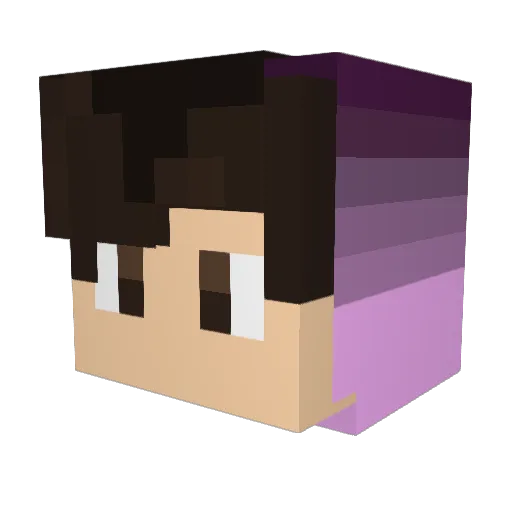 wereiss Minecraft avatar head, 3D render