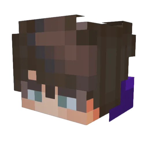 wereoxedt Minecraft avatar head, 3D render
