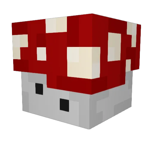 werj_ Minecraft avatar head, 3D render