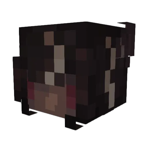 wernenko Minecraft avatar head, 3D render