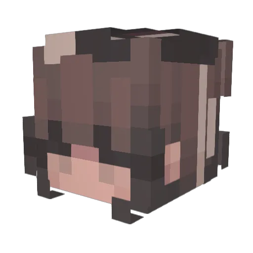 werntgud Minecraft avatar head, 3D render