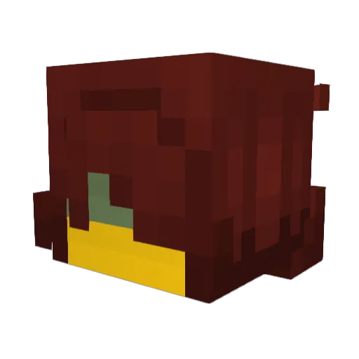 werpi2245 Minecraft avatar head, 3D render
