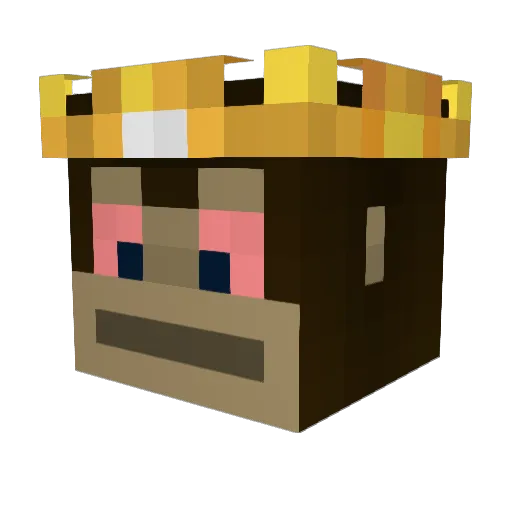 wertlos Minecraft avatar head, 3D render