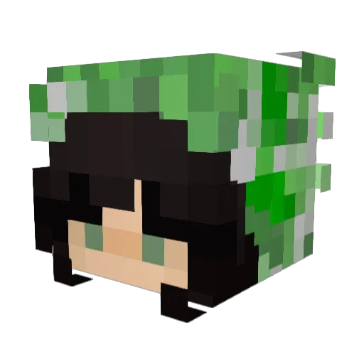 werts Minecraft avatar head, 3D render