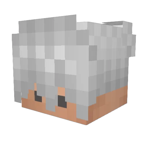 wertvoll Minecraft avatar head, 3D render