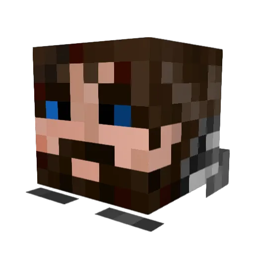 werty9990 Minecraft avatar head, 3D render