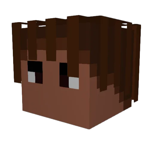 wertyryan03 Minecraft avatar head, 3D render