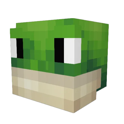 werus10 Minecraft avatar head, 3D render