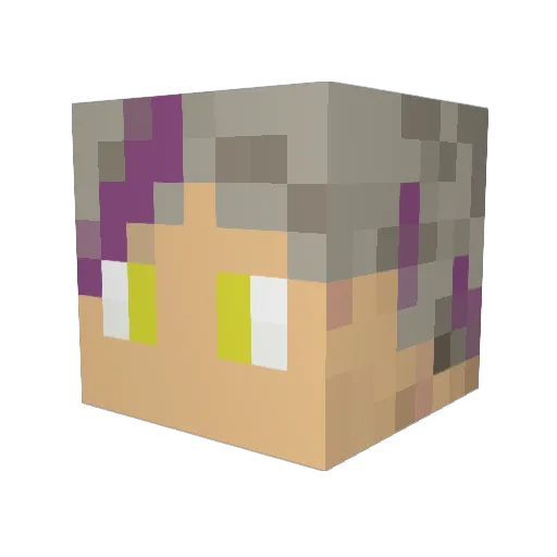 werwolf_xx Minecraft avatar head, 3D render