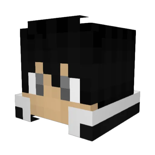 wesley4631 Minecraft avatar head, 3D render