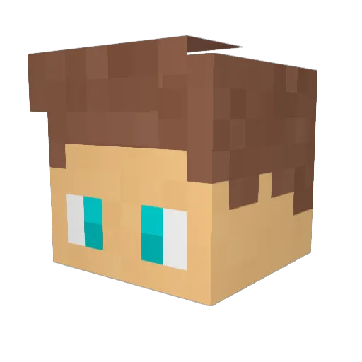 wesleyb1989 Minecraft avatar head, 3D render