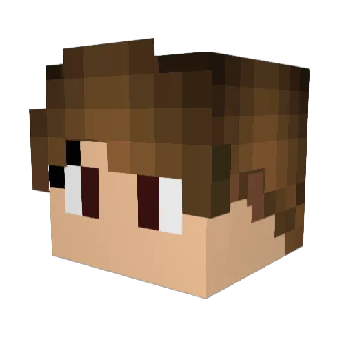 wesleye23 Minecraft avatar head, 3D render
