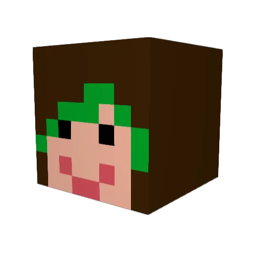 wetbaklava Minecraft avatar head, 3D render