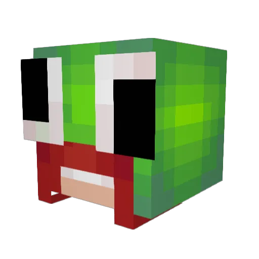 wetboi23 Minecraft avatar head, 3D render