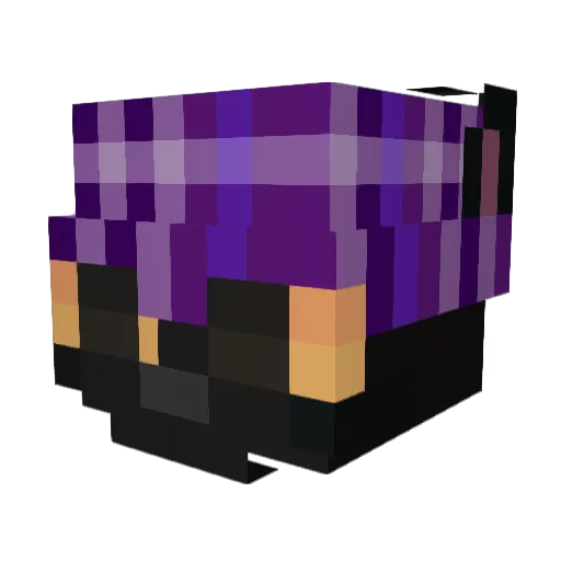wetchase Minecraft avatar head, 3D render