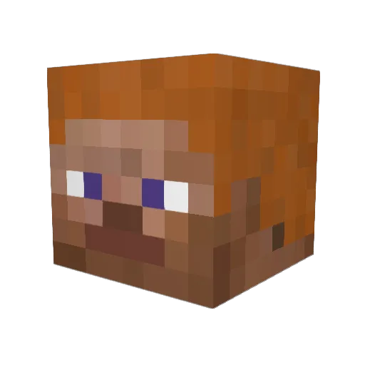 wetdragonkiller Minecraft avatar head, 3D render