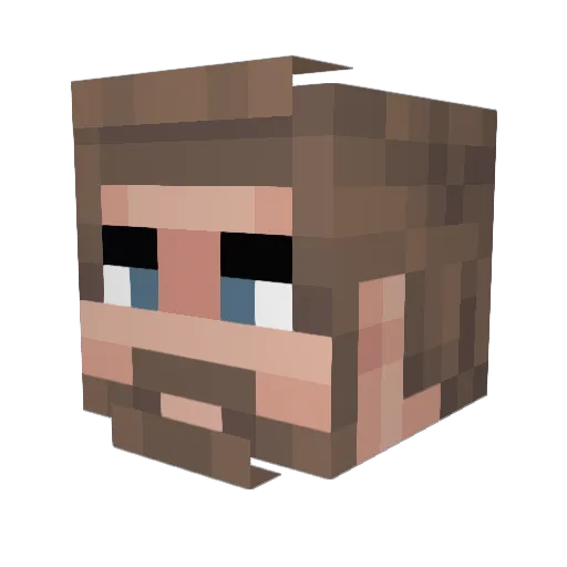wetero Minecraft avatar head, 3D render